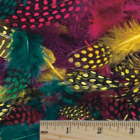 Color Splash!&#xAE; Dyed Feathers, 200ct.